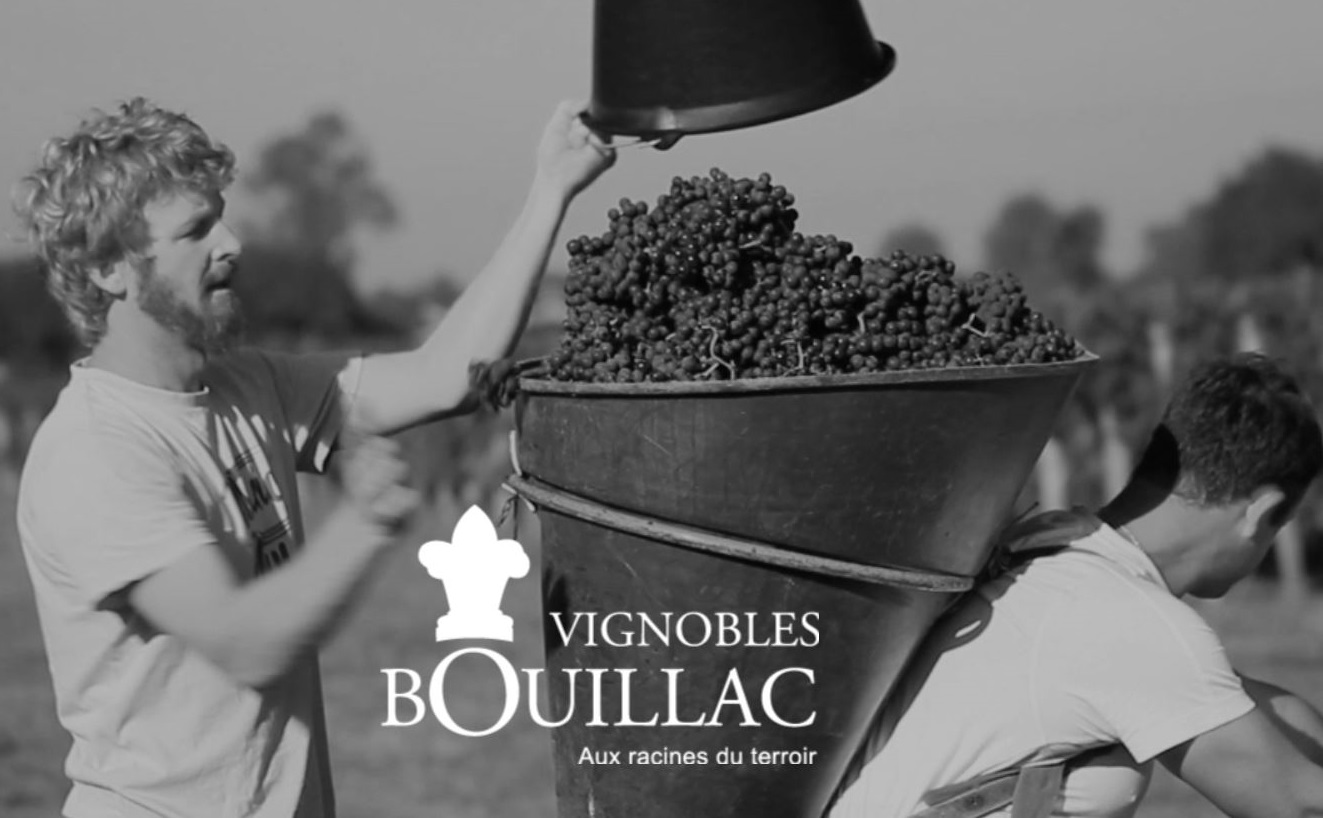 You are currently viewing Vignobles Bouillac