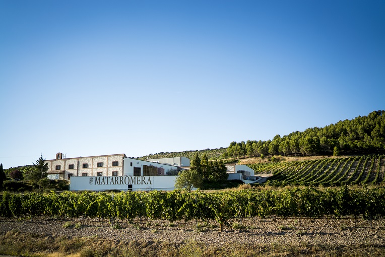 You are currently viewing Bodegas Matarromera