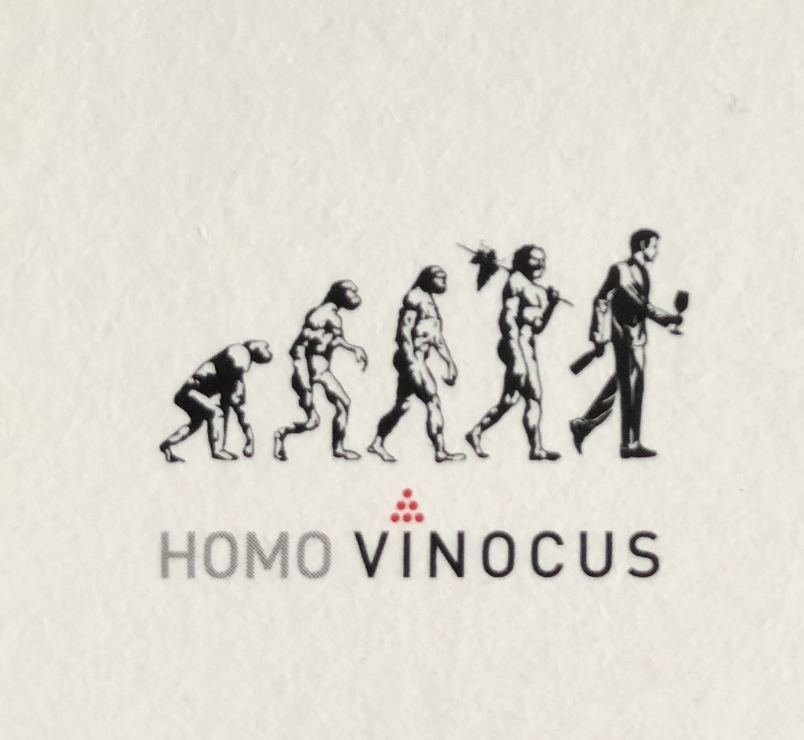 You are currently viewing Vinocus