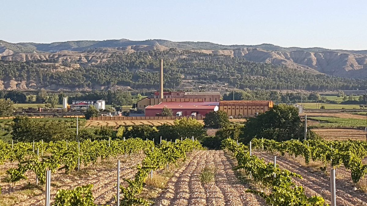 You are currently viewing Bodegas Valdepablo