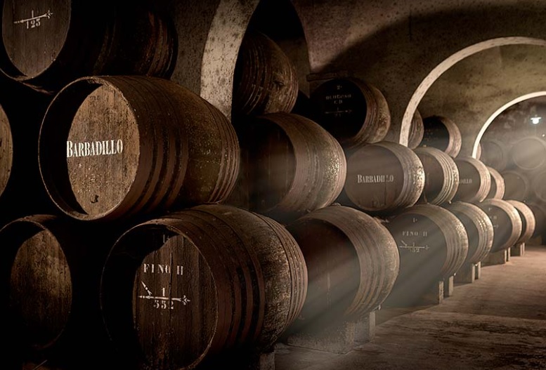 You are currently viewing Bodegas Barbadillo