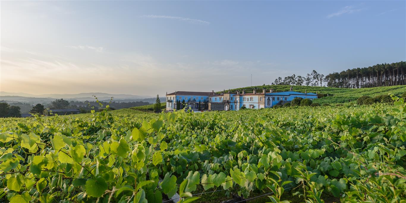 You are currently viewing Bodegas Granbazán