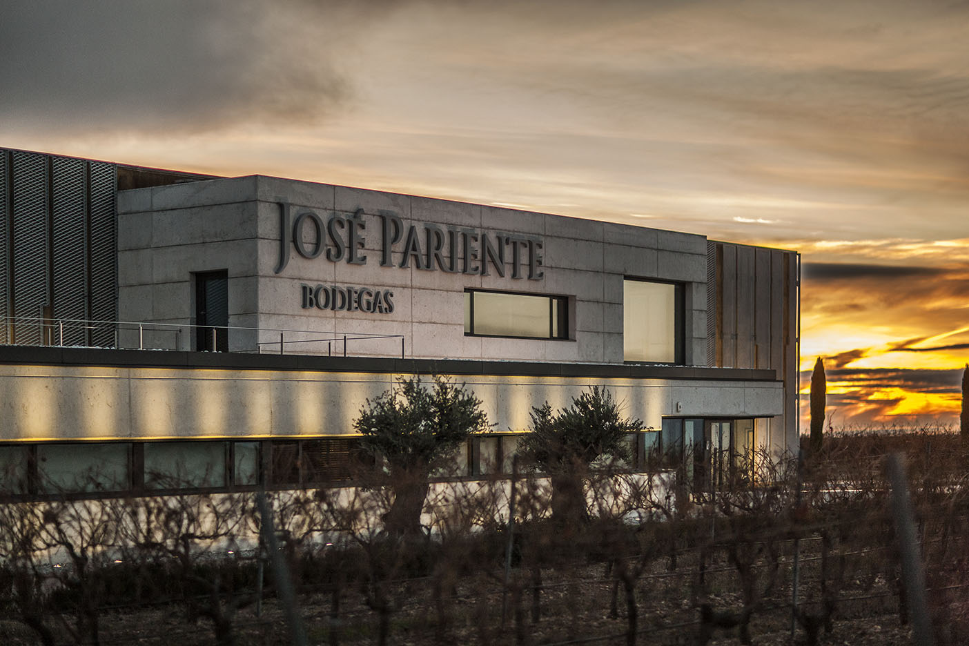You are currently viewing Bodegas José Pariente