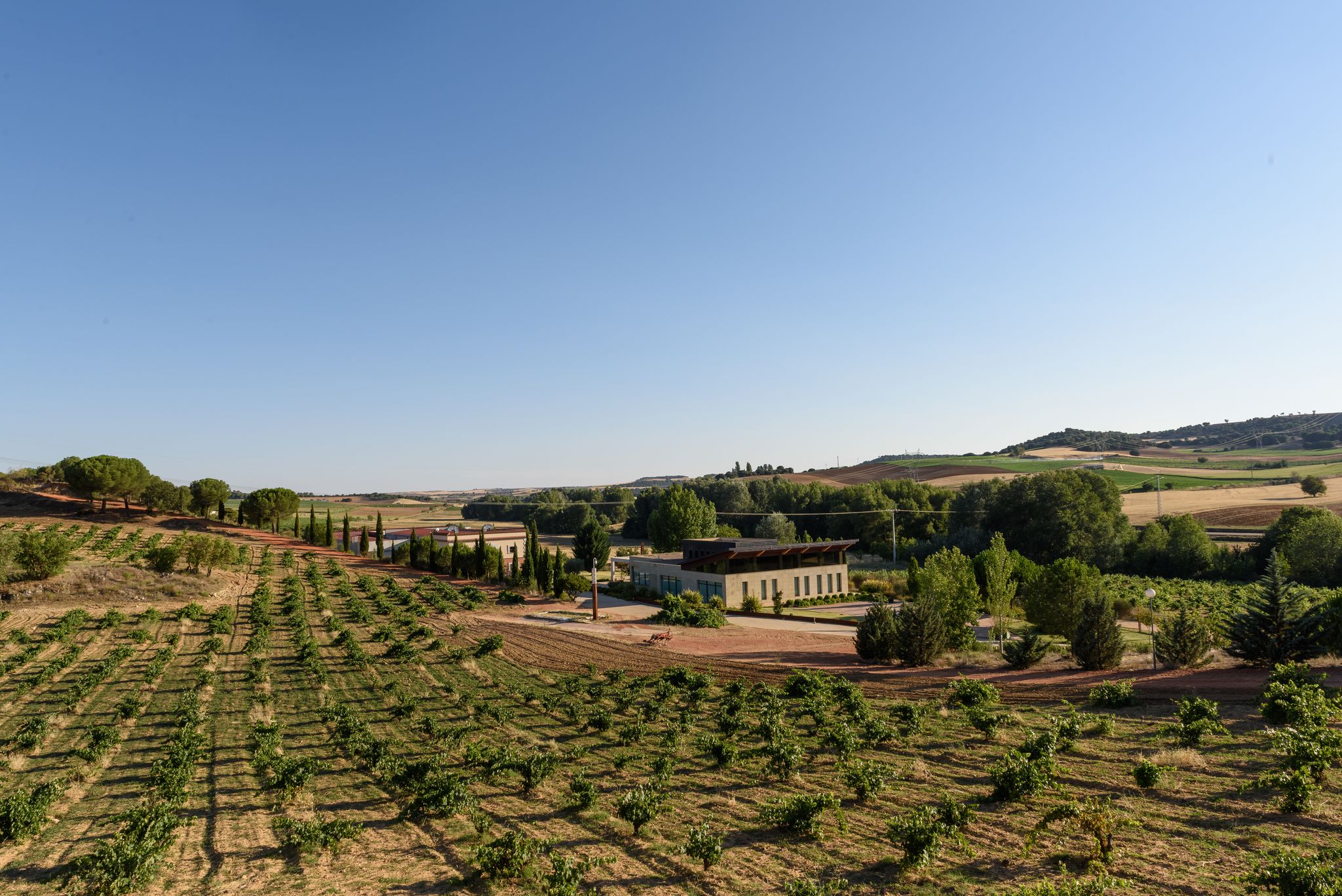 You are currently viewing Bodegas Piedra