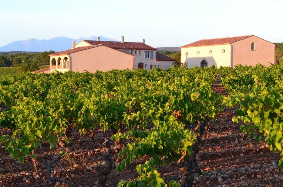 You are currently viewing Domaine Serre Romani
