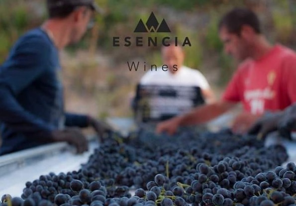 You are currently viewing Escencia Wines