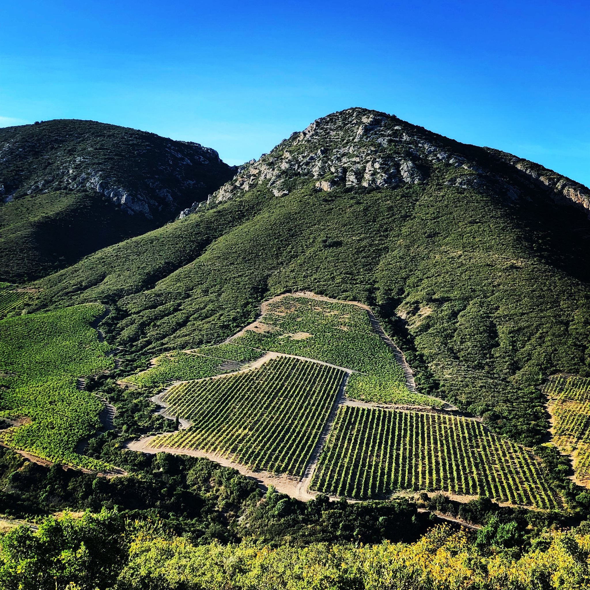 You are currently viewing Clos Del Rey